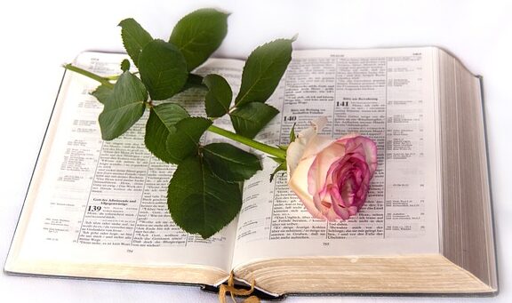 The Bible: A Christian’s Ultimate Guide for Truth and Life