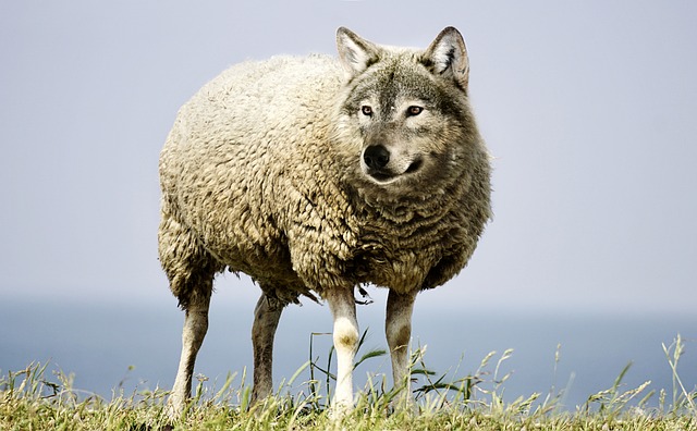 False Christian Faith Groups: How to Recognize Them