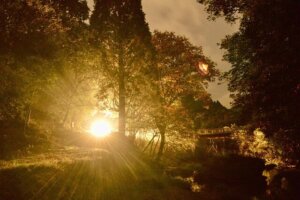 Devotional #1: The Thread of Creation —  God’s Wonderful Design and Purpose