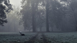 Prayer for Grief When Words Are Hard to Find