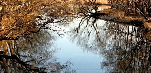 Prayer for Trust When Fear Controls the Mind
